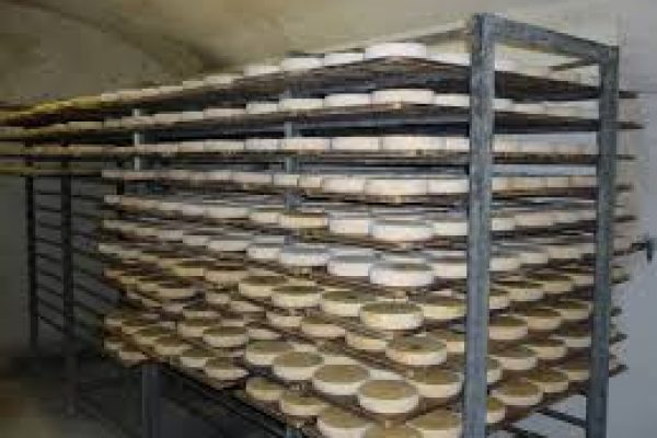 Cave à fromage — installation