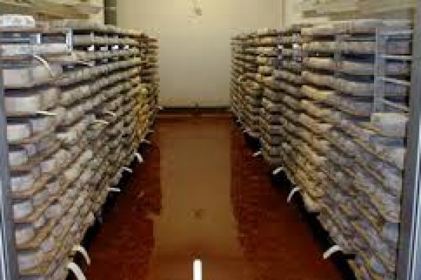 Cave à fromage — équipement